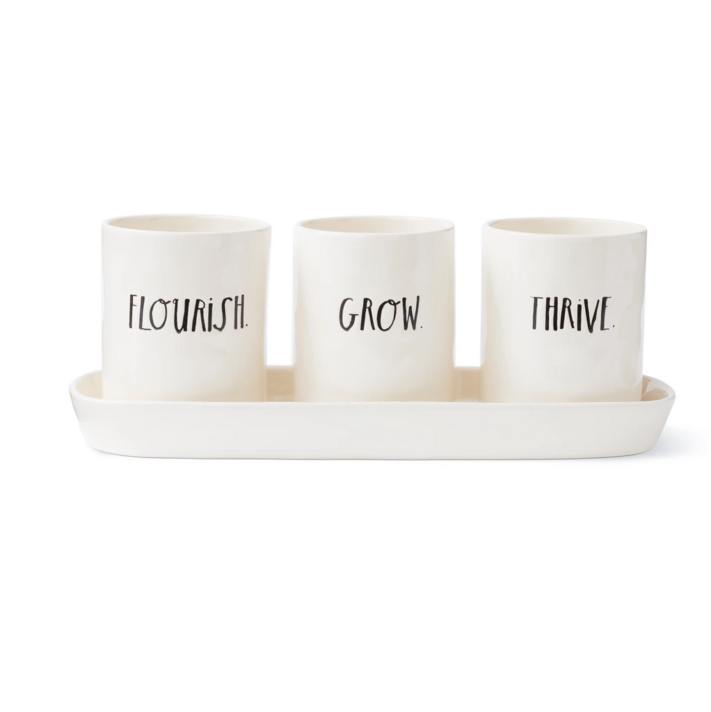 rae dunn hanging planter Rae Dunn Stem Print Three-Bulb Planter Set with Tray