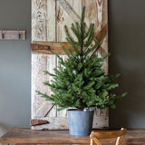 Potted Porch Fir Tree, Lighted