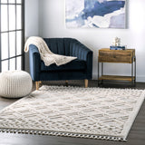 Ansley Shaggy Lattice Tassel textured rug