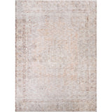 Kyla Shrouded Medallion farmhouse rug