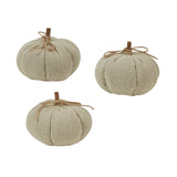 Small Natural Pumpkins Set fall farmhouse