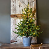Potted Porch Fir Tree, Lighted