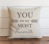 You Are My Most Favorite 20 x 20 Pillow Cover