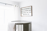 How Wonderful That You're in the World Sign Farmhouse wall decor